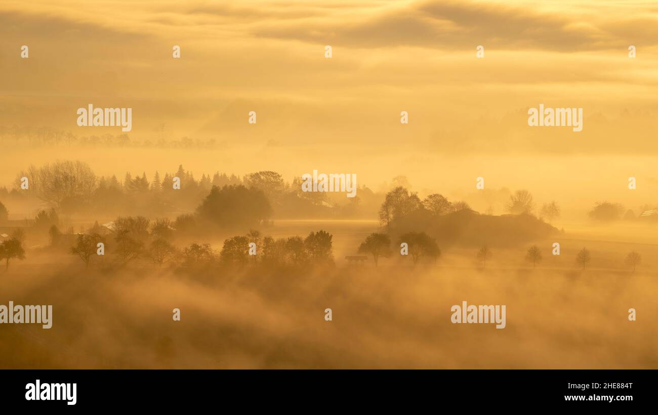 Sun-drenched landscape with tree silhouettes and mist Stock Photo