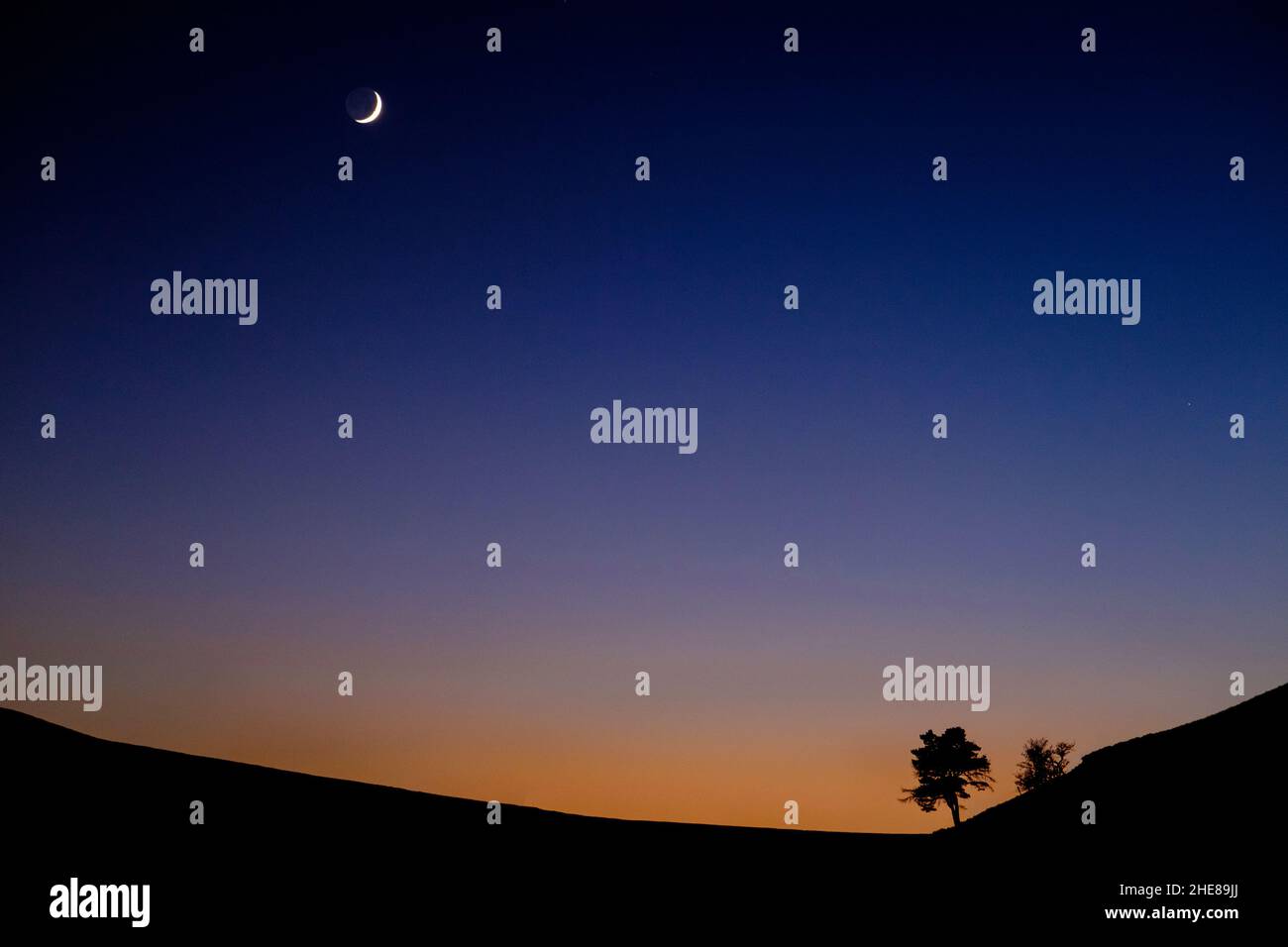 A crescent moon in evening sky above a silhouetted tree on a hillside Stock Photo