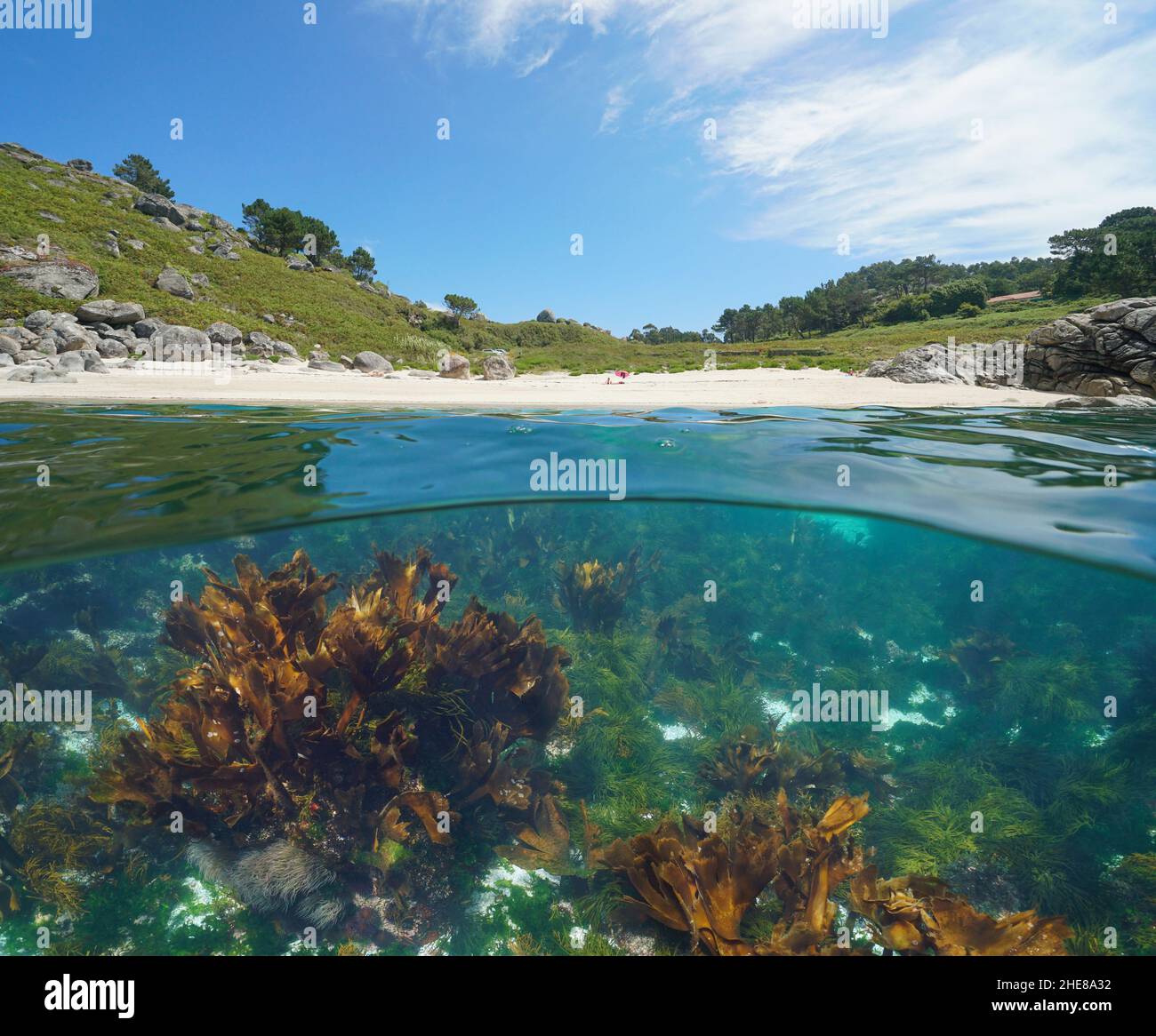 Beach coastline and algae underwater in the ocean, split level view over and under water surface, Spain, Galicia, Eastern Atlantic, Pontevedra Stock Photo