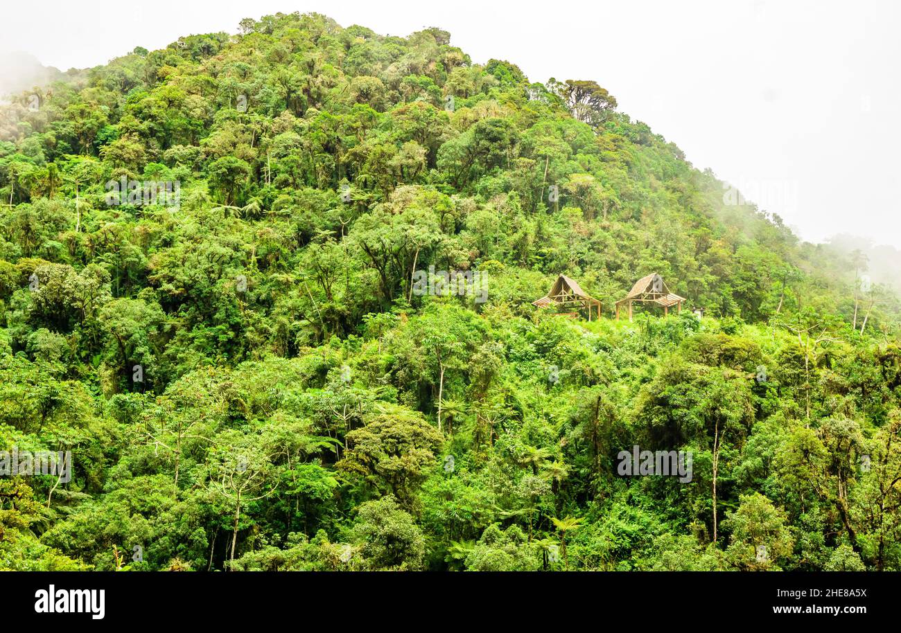 Cottage in the Yungas landscape next to death road, Bolivia Stock Photo