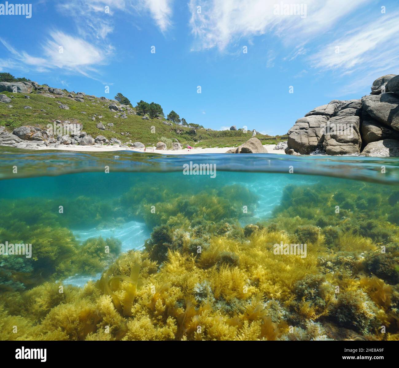 Spain, Galicia, coastline with sandy beach and rock, split level view over and under water surface, Eastern Atlantic ocean, Bueu, Pontevedra province Stock Photo