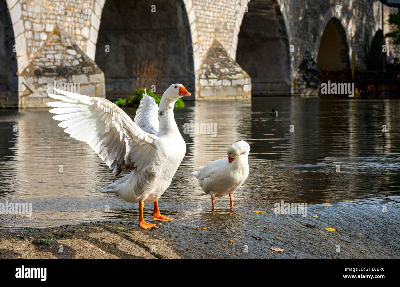 Wetzlar river lahn bridge hi-res stock photography and images - Alamy