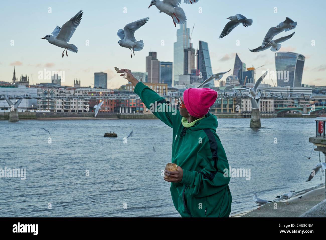 woman feeding birds  feeding seaguls Stock Photo