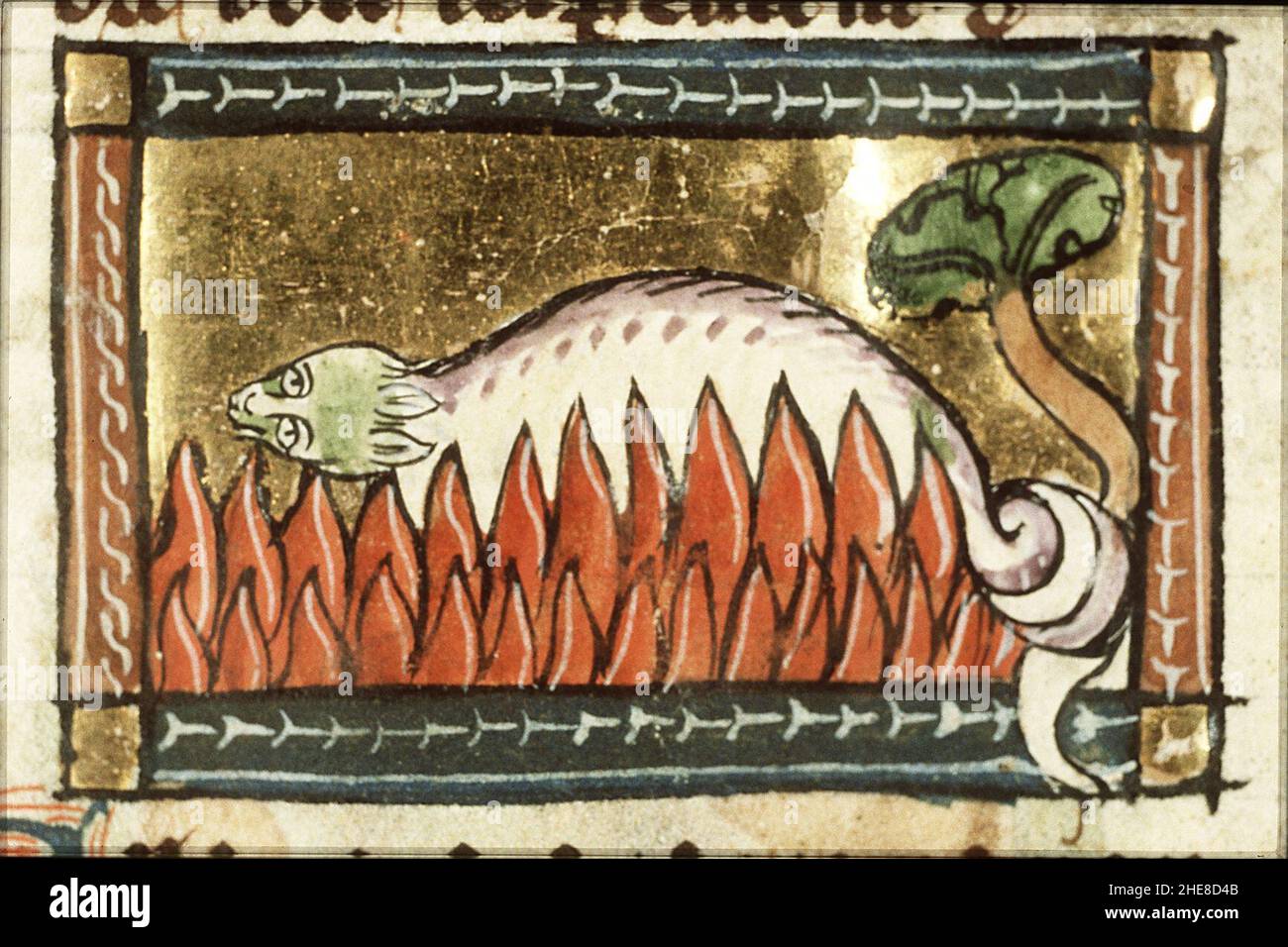 Salamandra (salamander) - Der naturen bloeme - Jacob van Maerlant - KB ...