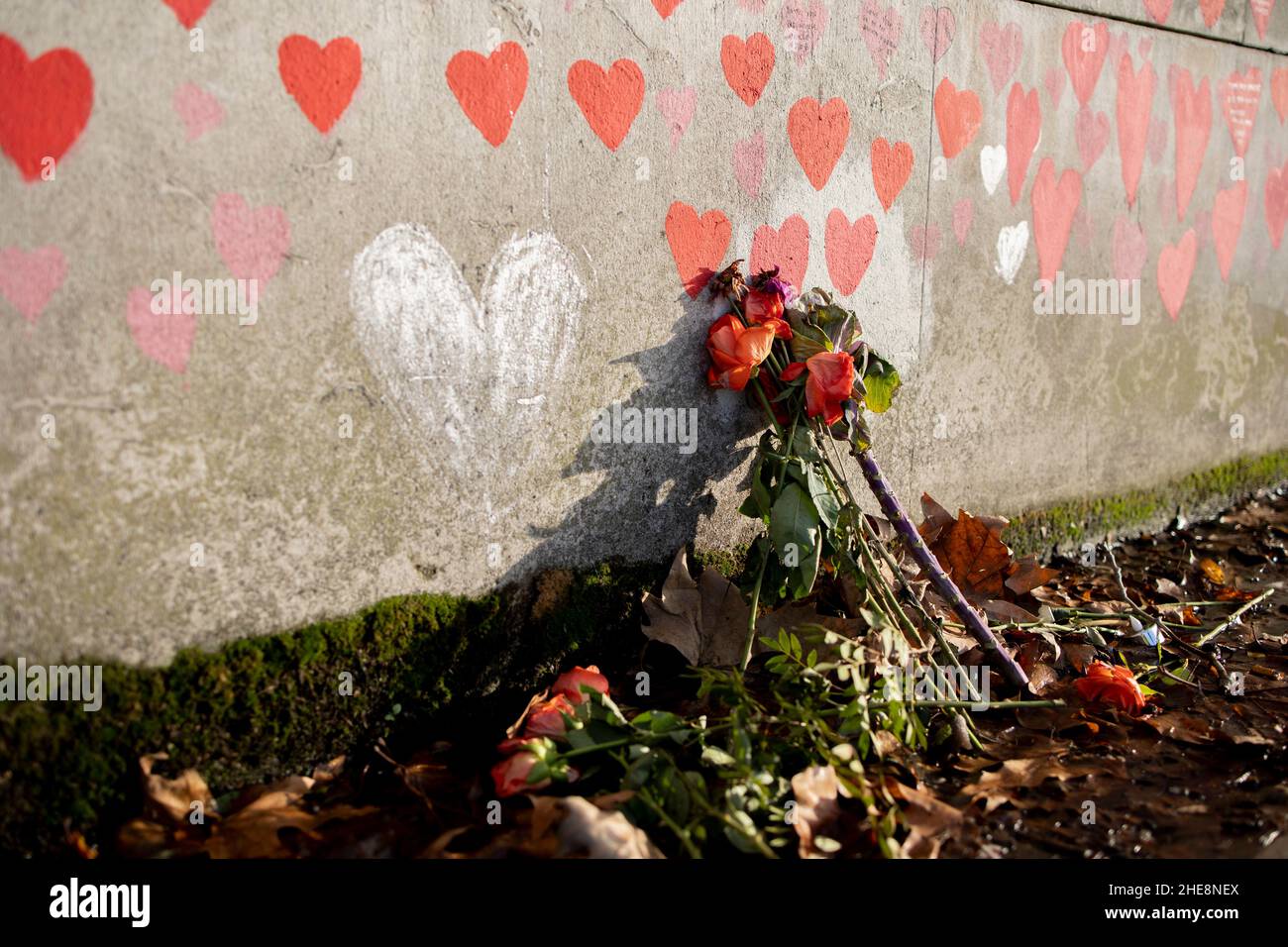 London, UK. 09th Jan, 2022. Flowers are seen laying next to the national COVID memorial wall to pay tributes to the COVID deaths.Over 150,000 hearts have been painted to date on the wall outside St Thomas' Hospital opposite the Houses of Parliament to commemorate each life lost in the UK due to the COVID pandemic since 2019. Credit: SOPA Images Limited/Alamy Live News Stock Photo