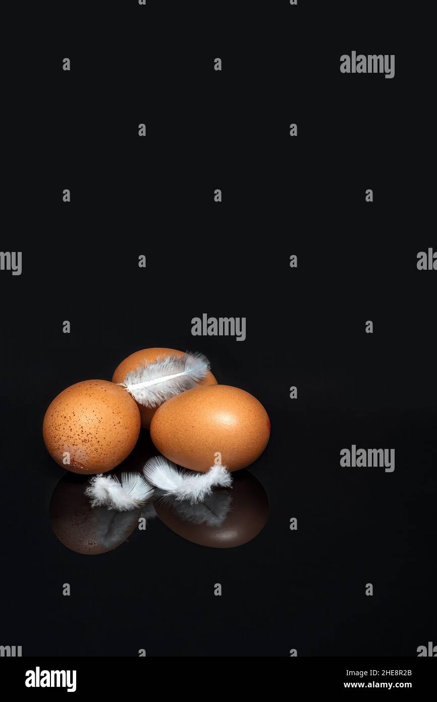 Three brown eggs and small feathers on a black background, still life ...