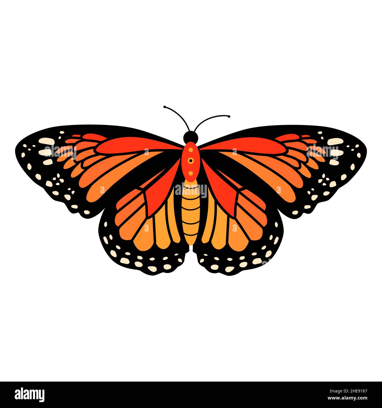 Butterfly vector illustration clipart. Cute Butterfly isolated Stock ...
