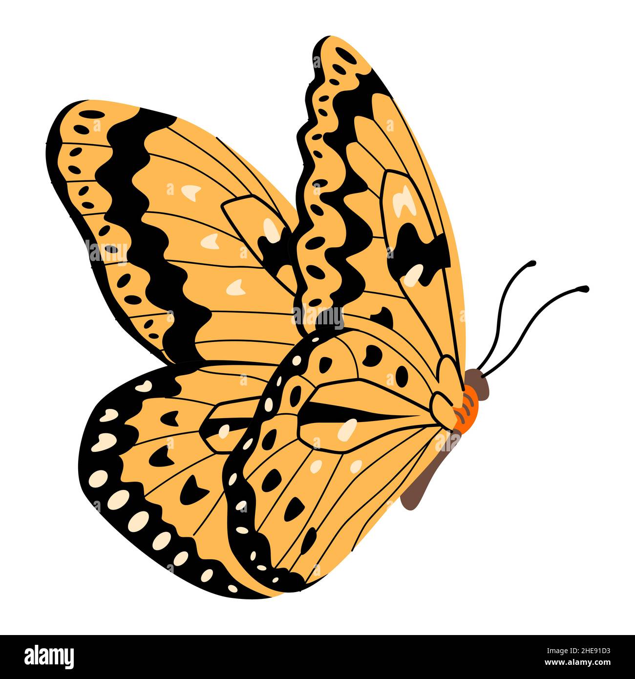Butterfly vector illustration clipart. Cute Butterfly isolated Stock ...