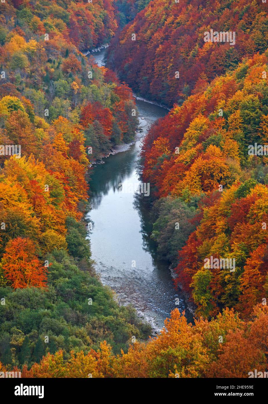 Vertical view of autumn detail of Tara canyon in Montenegro Stock Photo