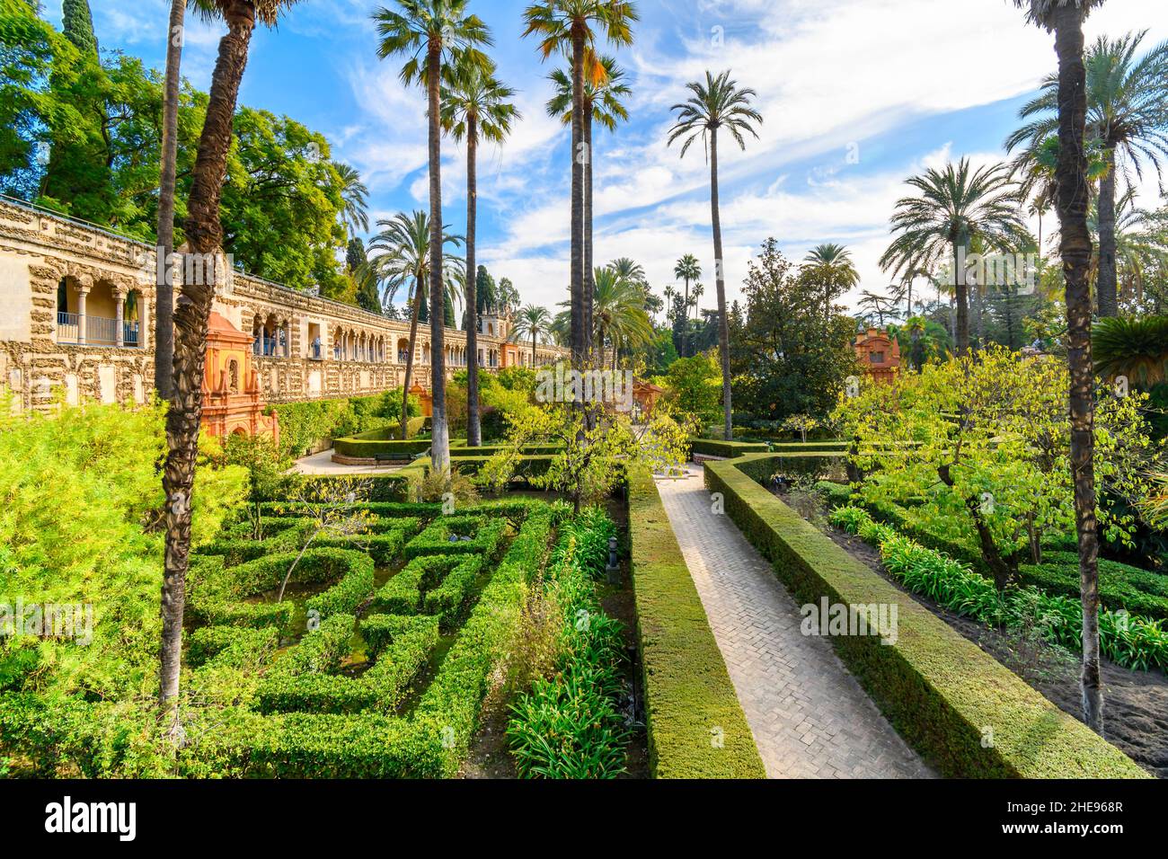 The landscaped gardens of palm trees and manicured grounds inside the Royal Alcázar of Seville Spain. Stock Photo