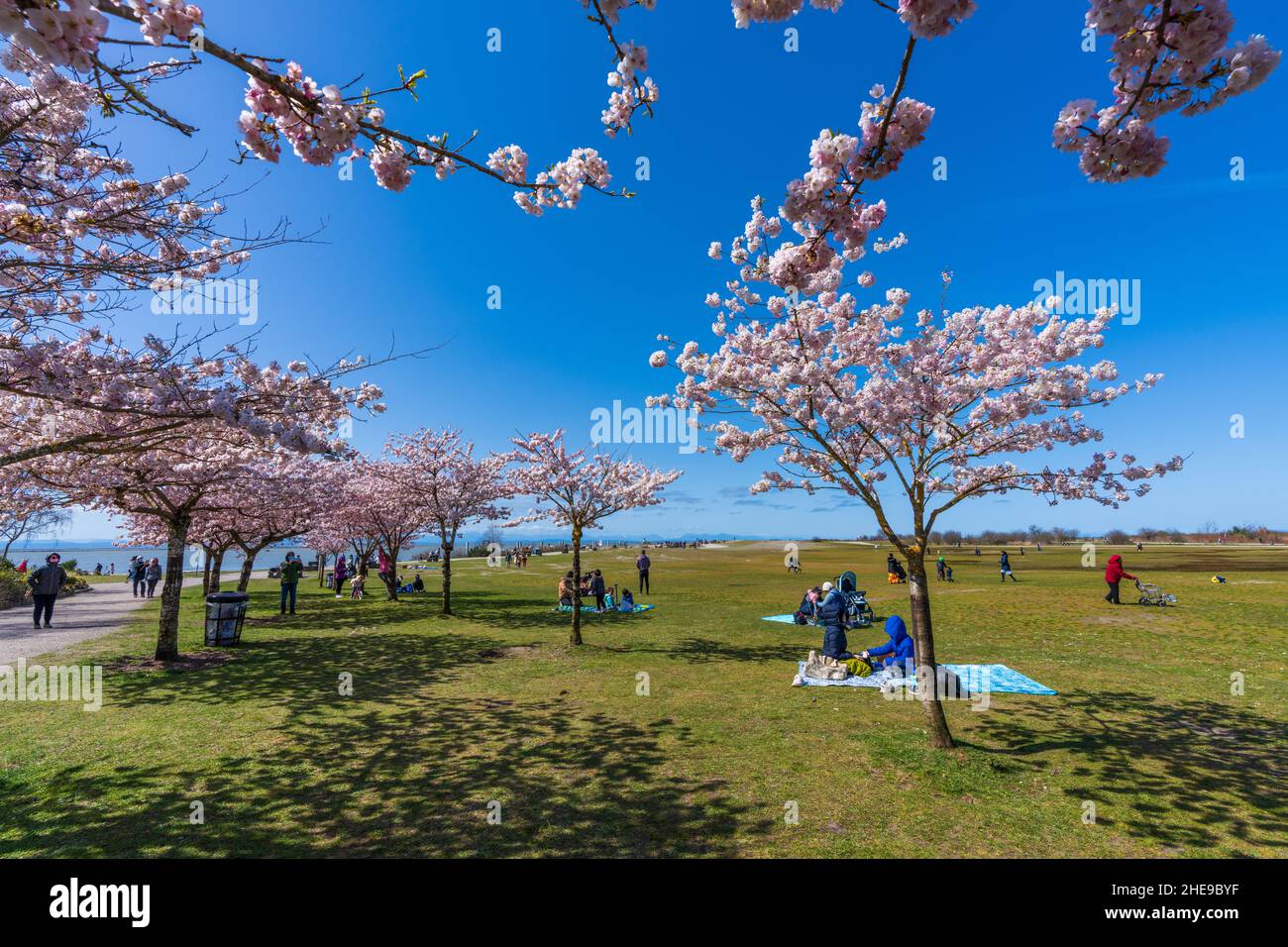 People having a picnic in the Garry Point Park in springtime, enjoying