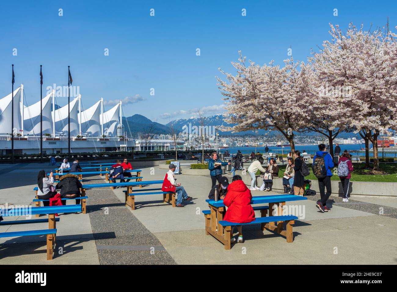 Spring blossom 2021 hires stock photography and images Alamy
