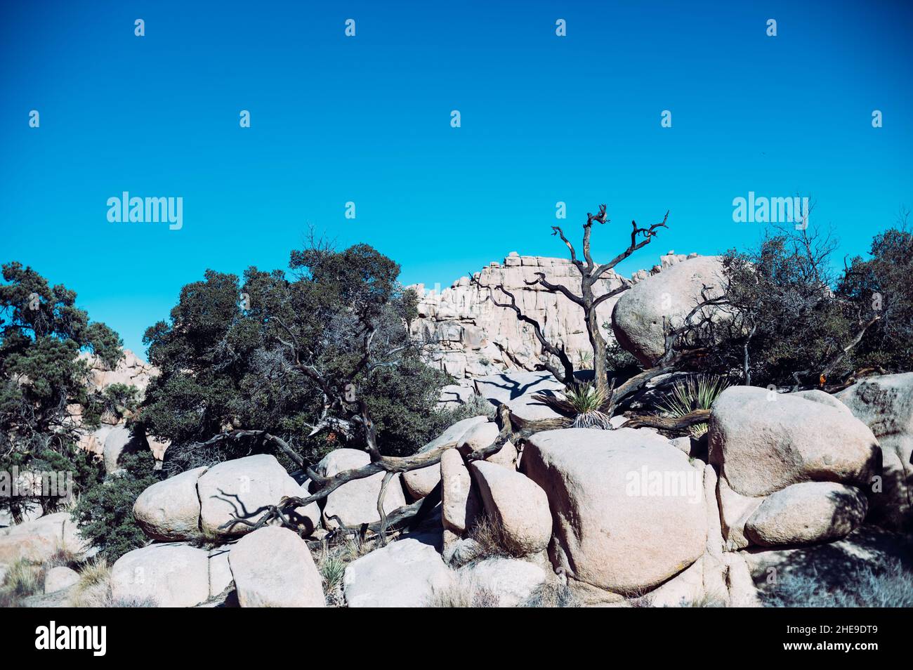 Rock formation in Joshua Tree National Park Stock Photo