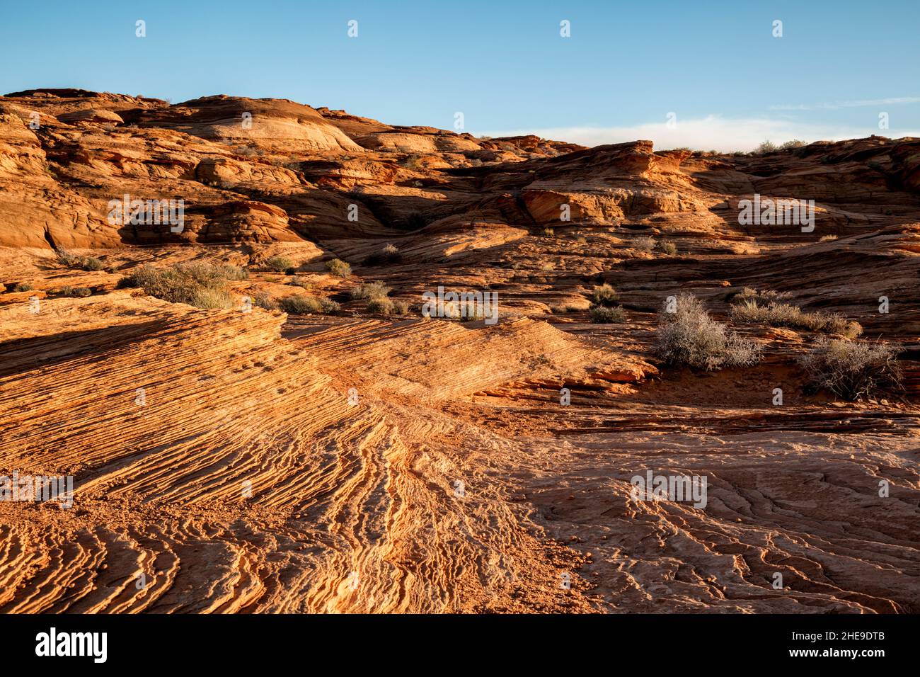 USA, Arizona, Page, Late afternoon light on rock striations at Horseshoe Bend Stock Photo
