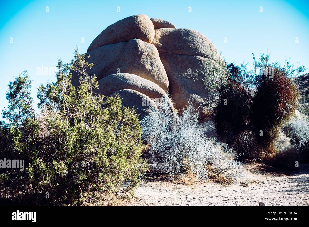 Stones joshua tree national park hi-res stock photography and images ...