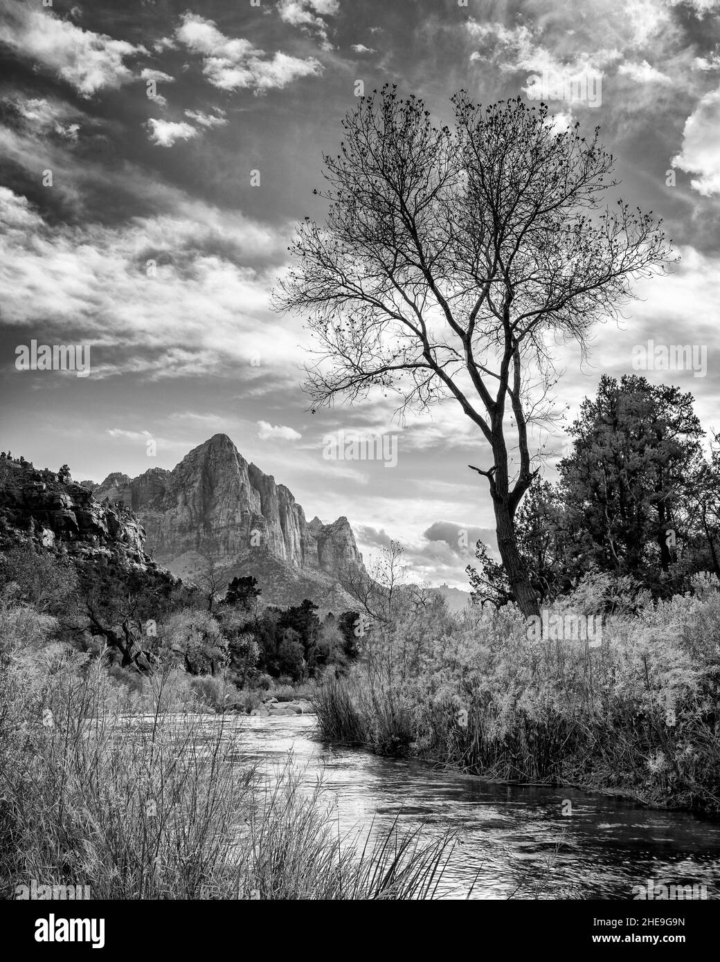 USA, Utah, Zion National Park, Virgin River and The Watchman near sunset (bw) Stock Photo