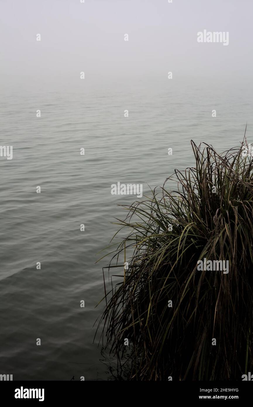 Shore of a river on a foggy day Stock Photo - Alamy