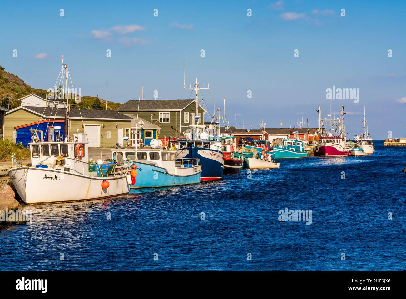 Petty harbor maddox cove hires stock photography and images Alamy