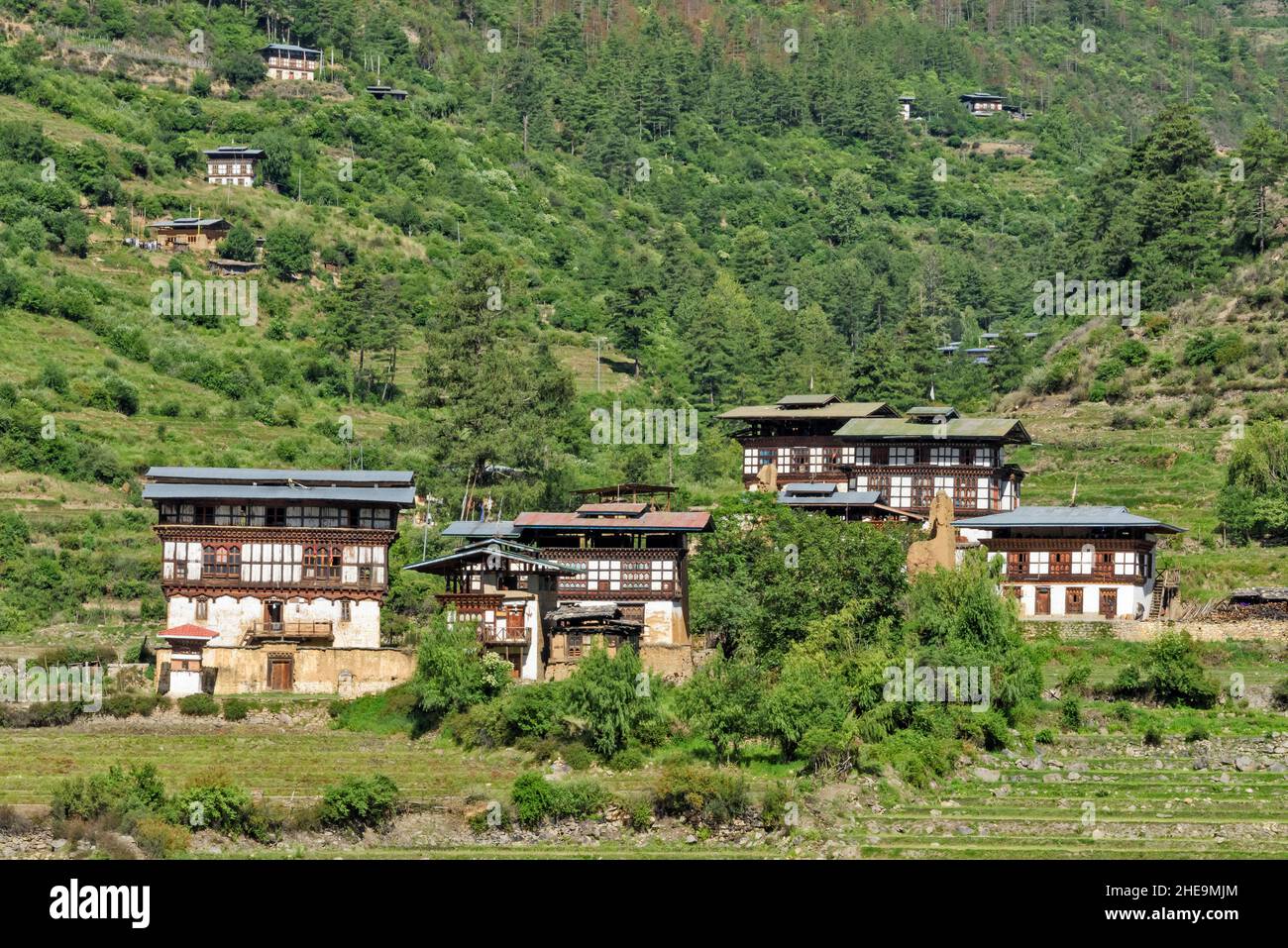 Houses with farmland, Paro, Bhutan Stock Photo