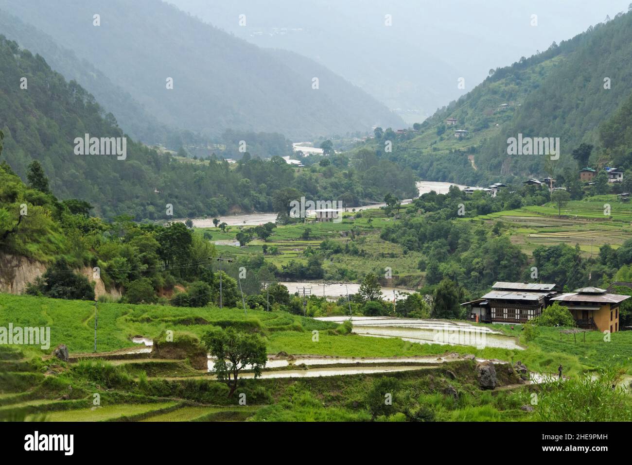 Village houe and rice paddy in the Himalayas, Punakha Valley, Bhutan Stock Photo