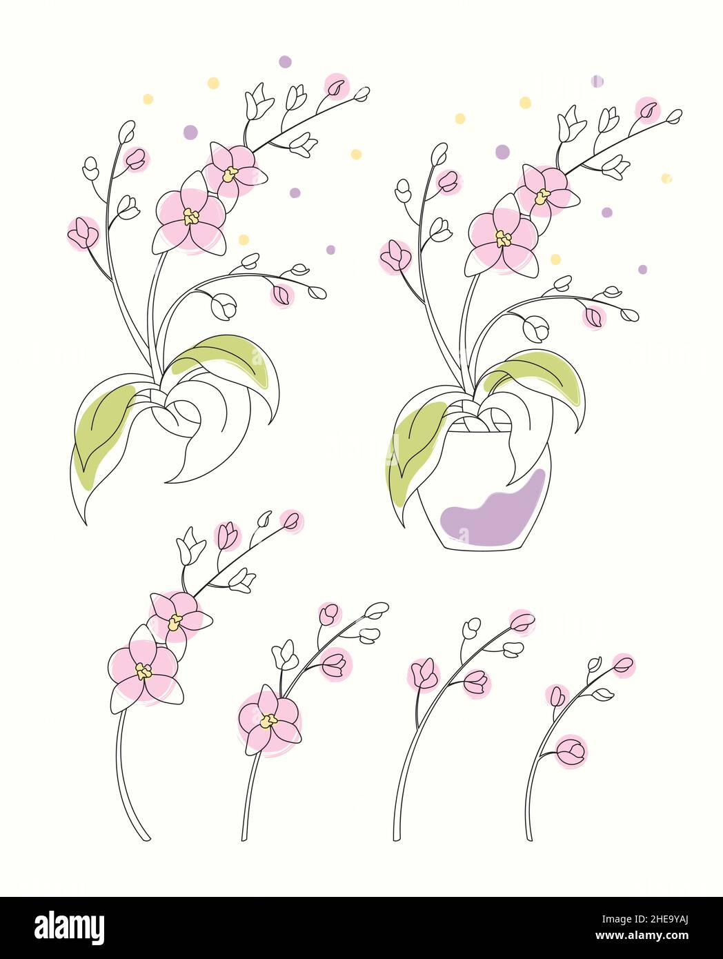Line art watercolor set of orchid in pot, branches with flowers and blossoms Stock Vector