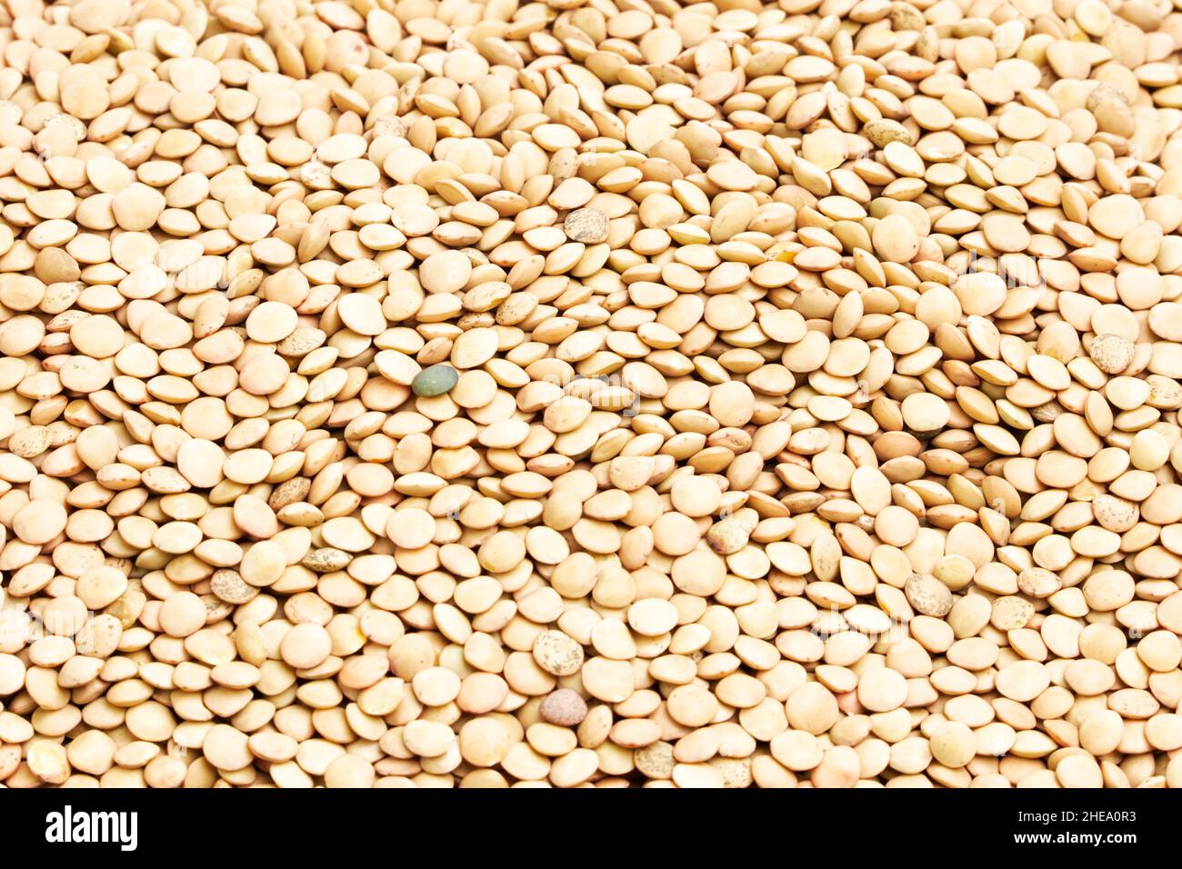 Background of dried green lentils. Healthy and vegan food concept Stock Photo