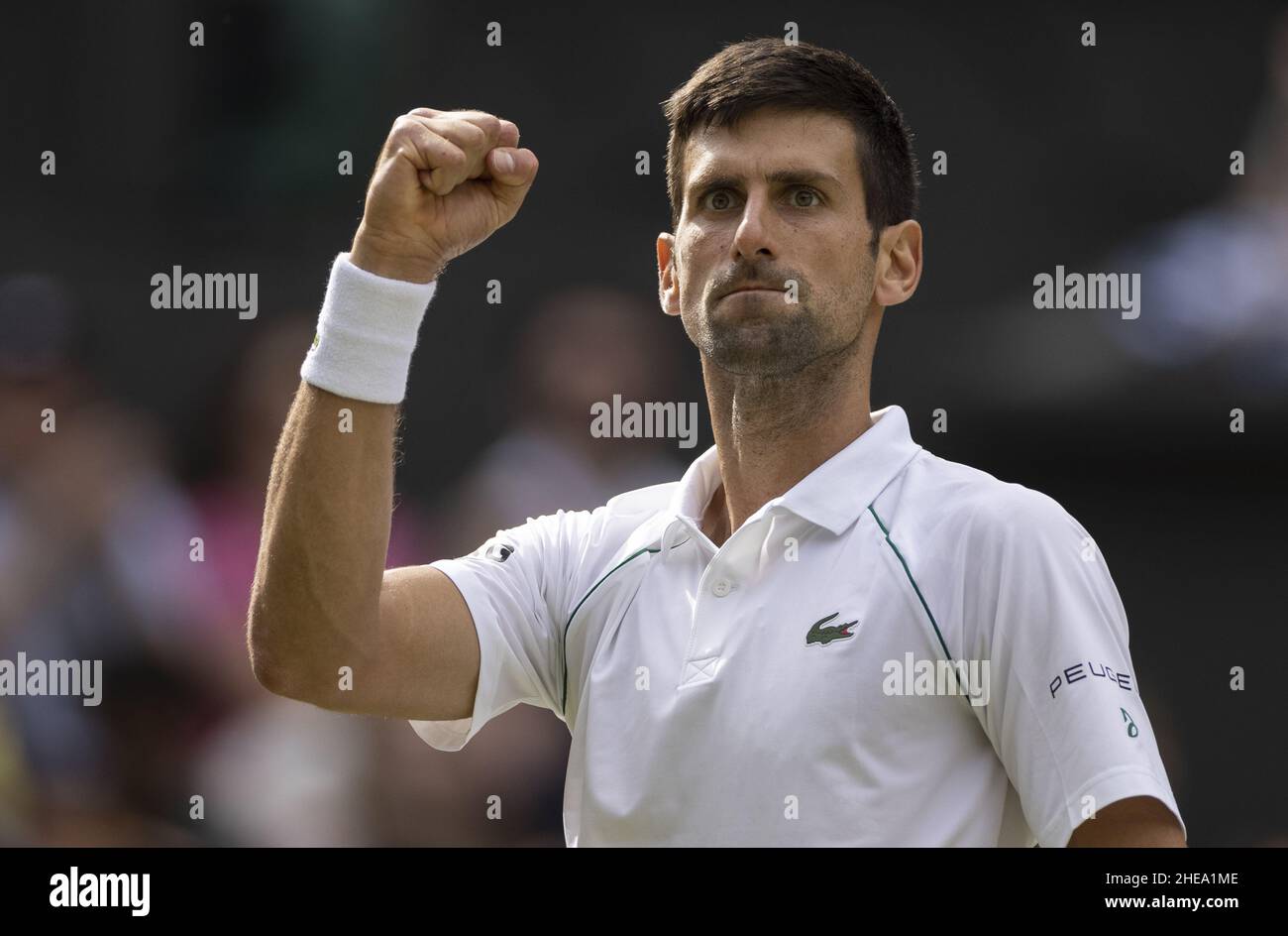 Australian open tennis court 2022 hires stock photography and images Alamy