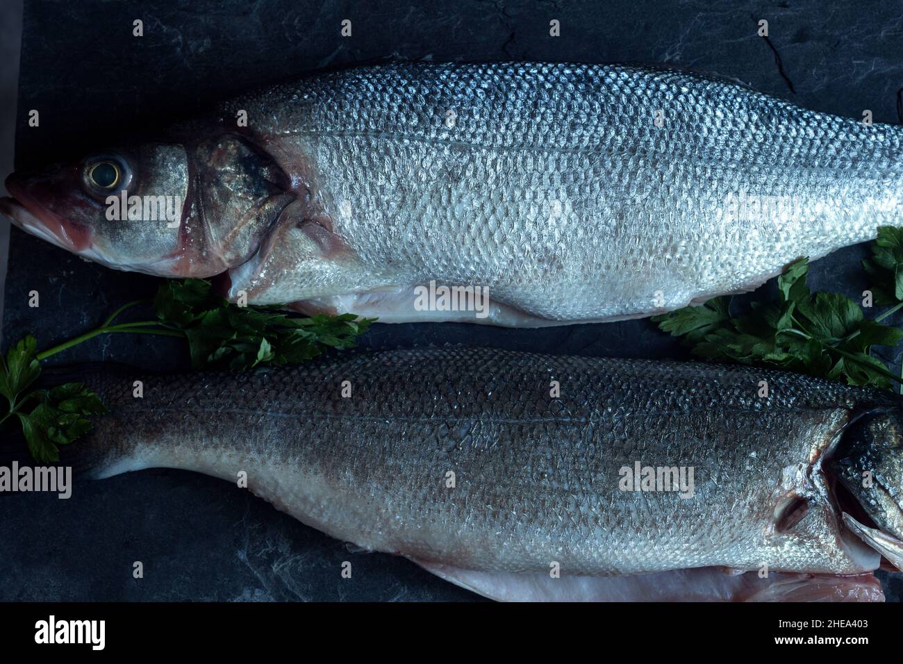 Overhead view of two European sea bass with fresh parsley sprigs on a vintage black slate ready to cook. Fish and healthy food. Stock Photo