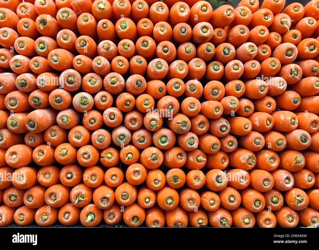 Neatly organised stack or organic carrots Stock Photo