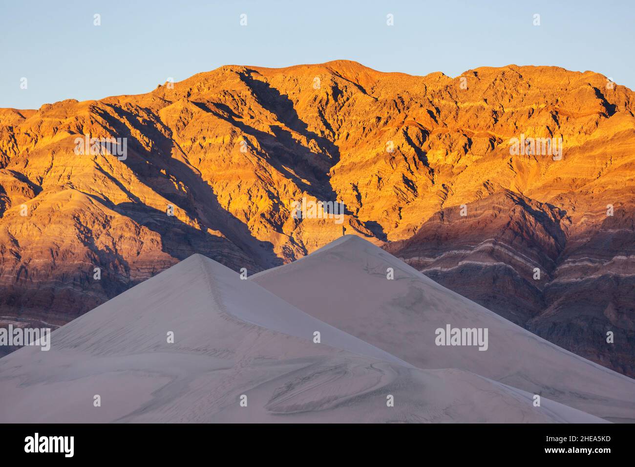 Unspoiled sand dunes in the remote desert Stock Photo Alamy