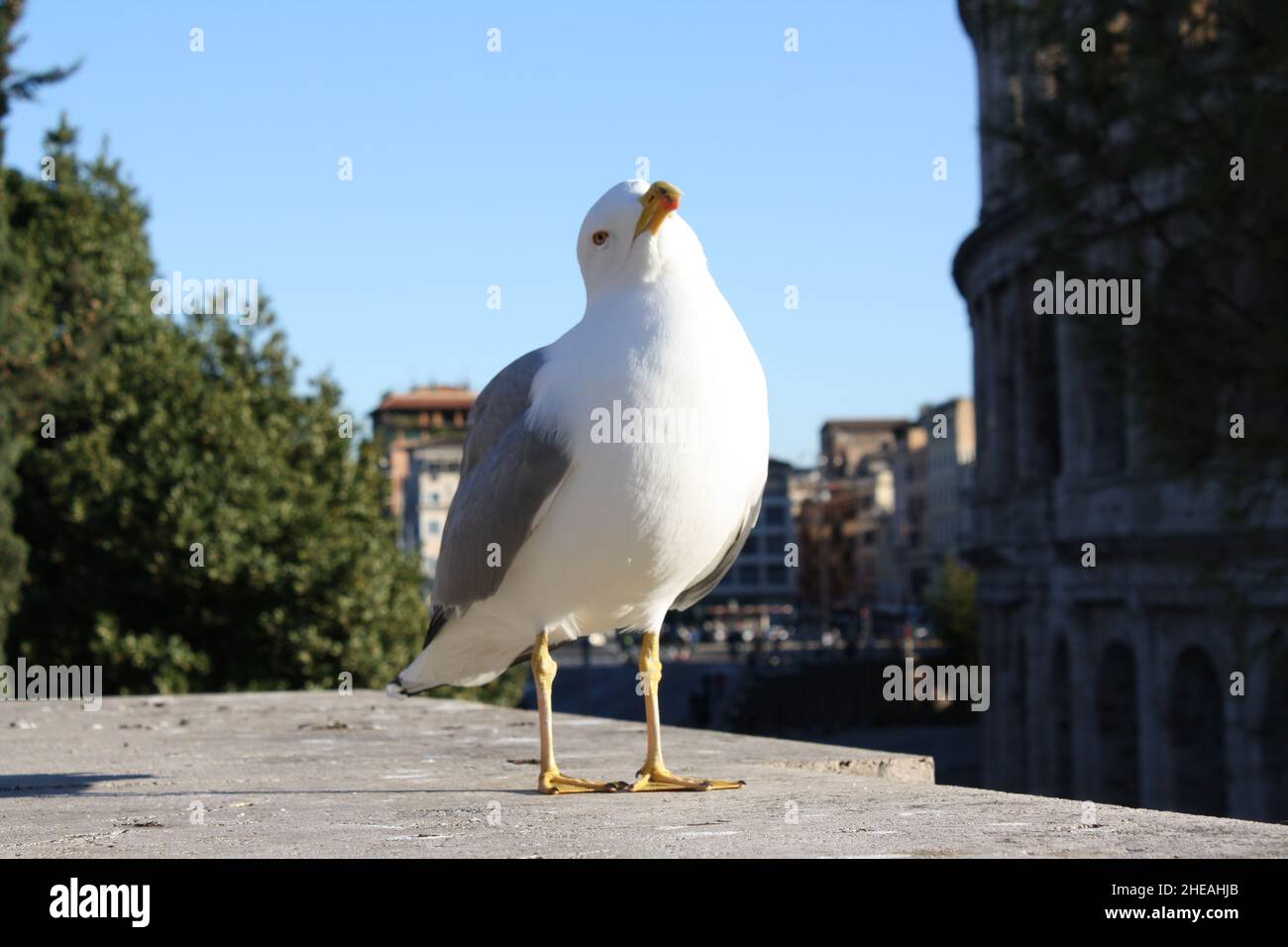 The beautiful  travel at rome Stock Photo