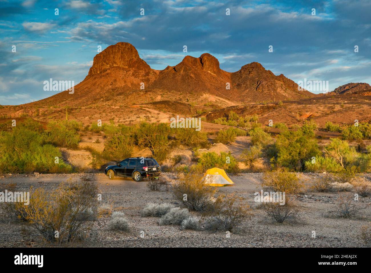 Four Peaks, campsite, at sunrise, road 0080, Plomosa Mountains, Sonoran Desert, Arizona, USA Stock Photo