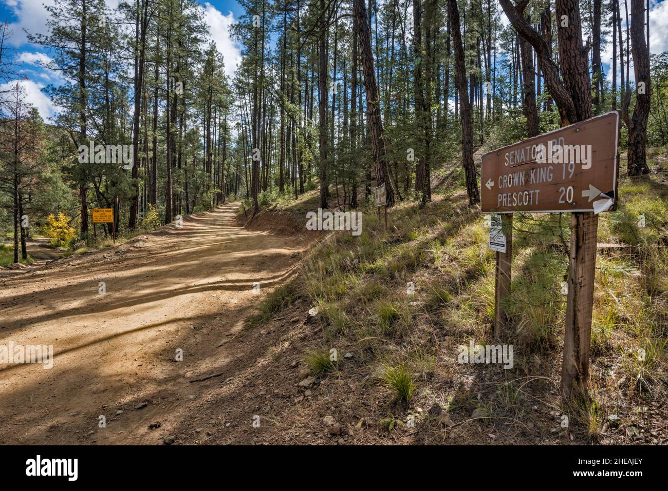 Senator Road 52 at Pine Flat Road 177 intersection, Goodwin site, backroads in Bradshaw Mountains, Prescott National Forest, Arizona, USA Stock Photo