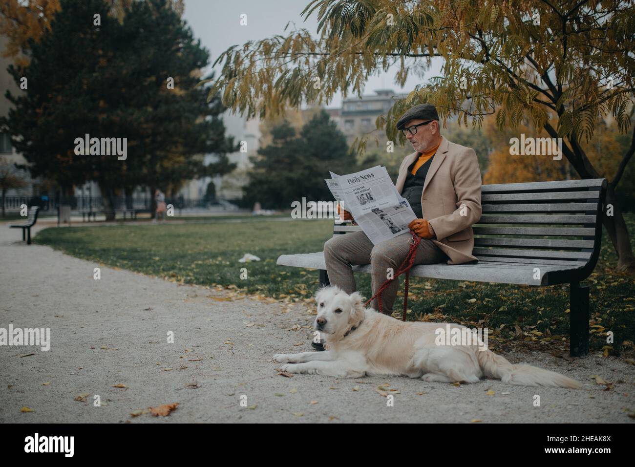 Happy senior man sitting on bench and reading newspaper during dog walk ...
