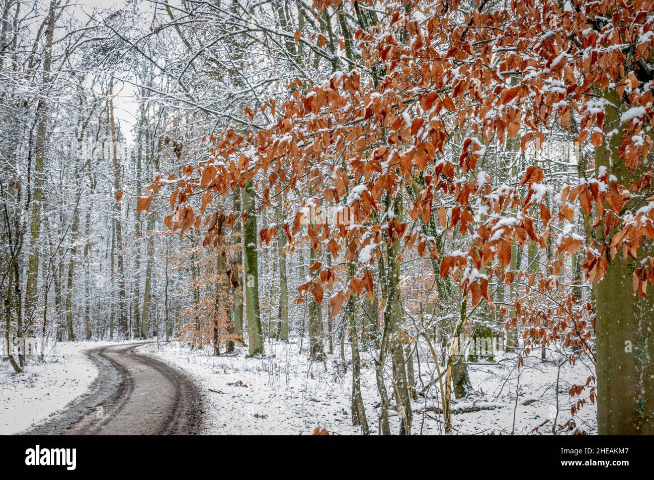 Winding road through snow covered winter landscape hi-res stock ...