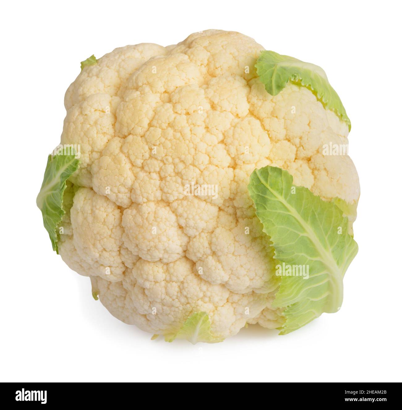 Cauliflower isolated on white background Stock Photo