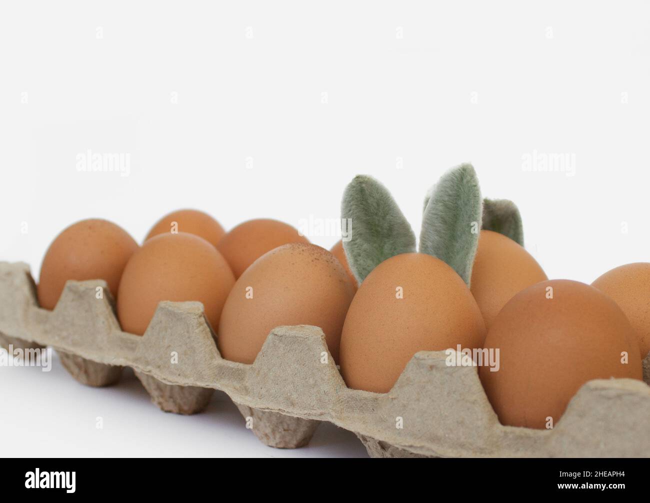 Easter eggs with ears close-up on a white background. Easter concept. Stock Photo