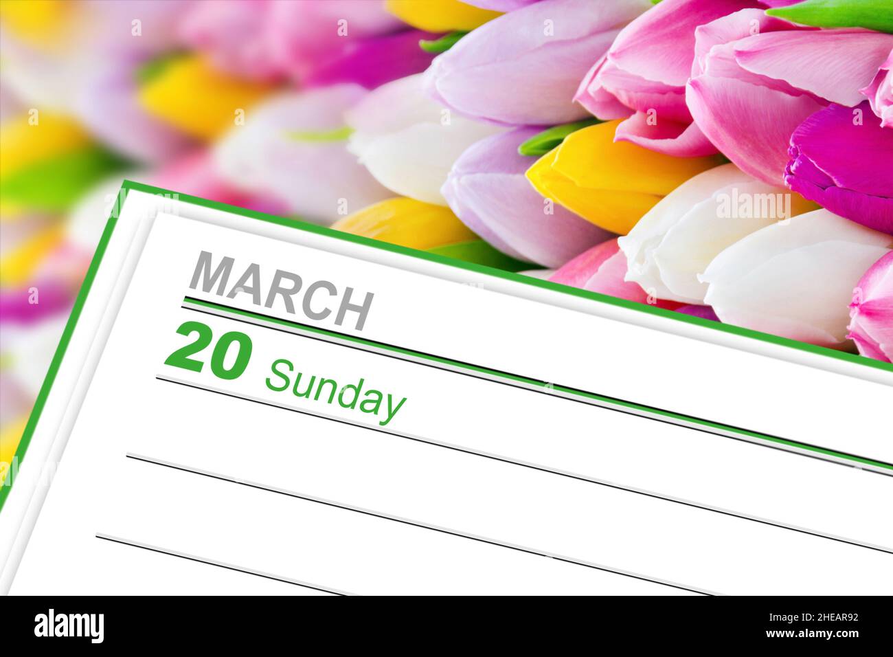 Calendar 2022  March 20  Sunday with tulips Stock Photo