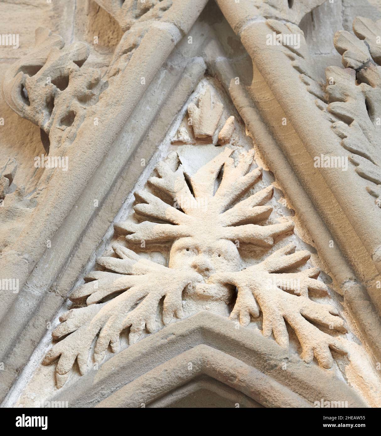 Medieval (thirteenth century) naturalistic carving of a green man on the chapter house wall at the minster in Southwell, England. Stock Photo