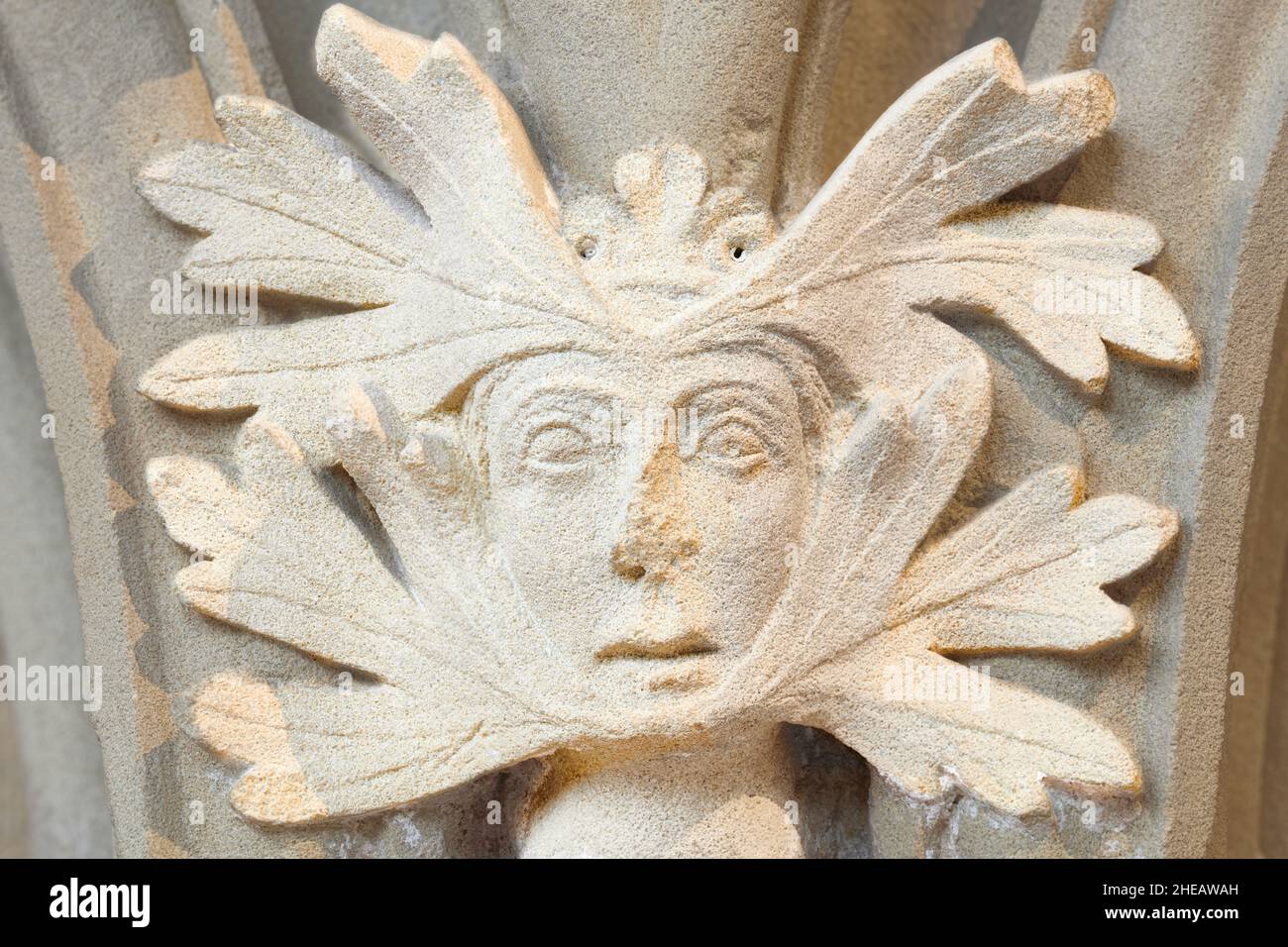 Medieval (thirteenth century) naturalistic carving of a green man on the chapter house wall at the minster in Southwell, England. Stock Photo