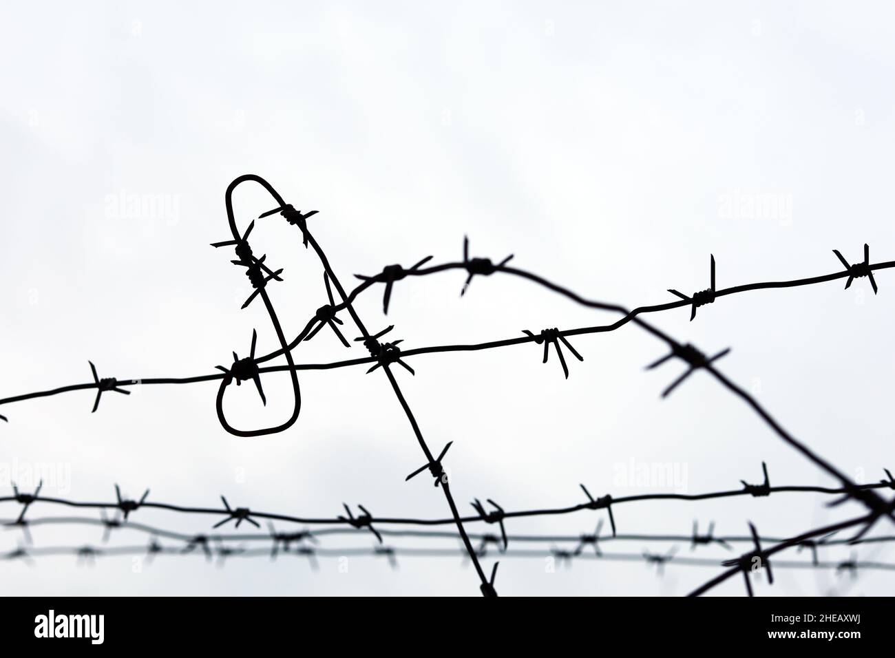 Barbed wire on sky background. Concept of boundary, prison, war or immigration Stock Photo