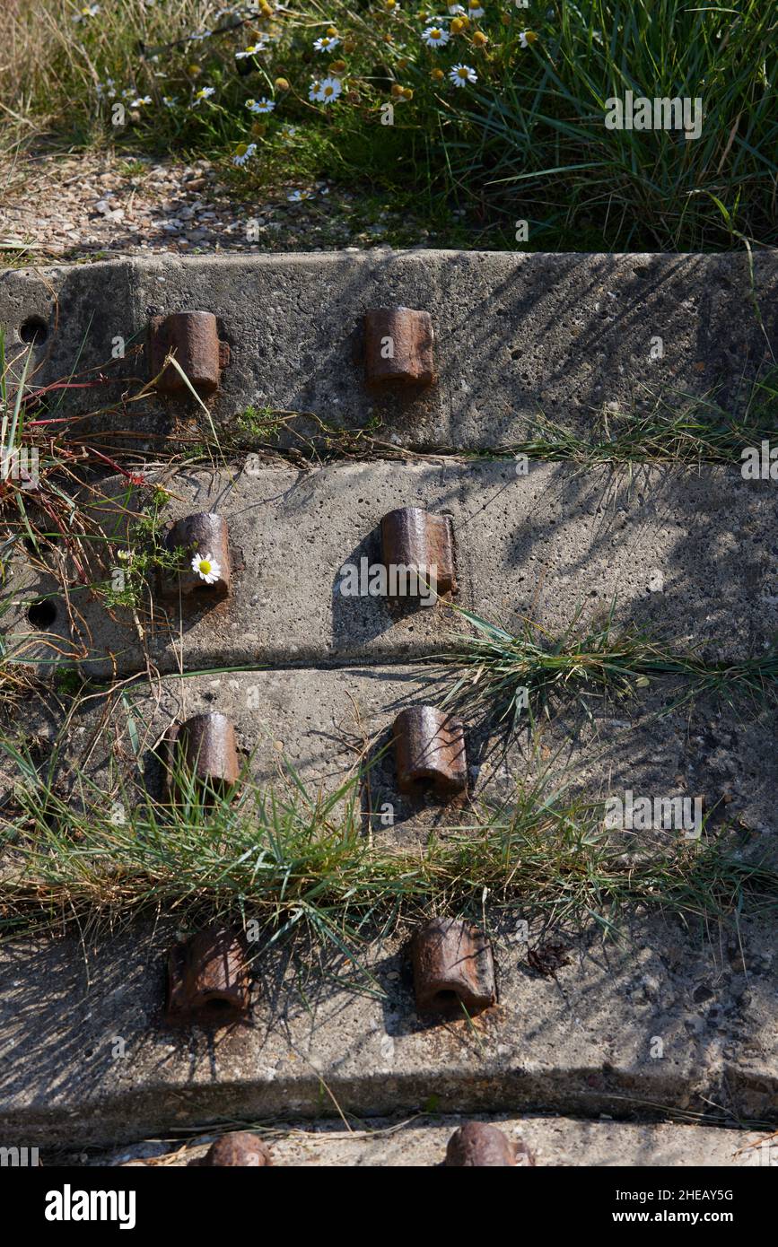 Grasses seen growing through concrete erosion barriers. Stock Photo