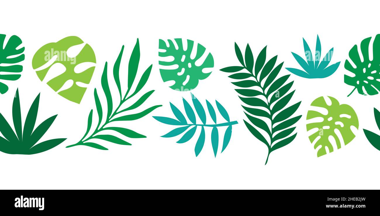 Tropical palm leaves seamless vector border. Exotic nature flat ...