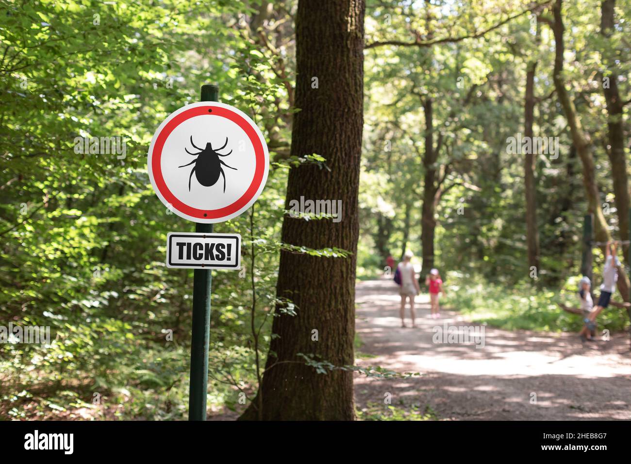 Insect Warning Sign Tick insect warning sign in nature forest. Danger of Lyme disease ...