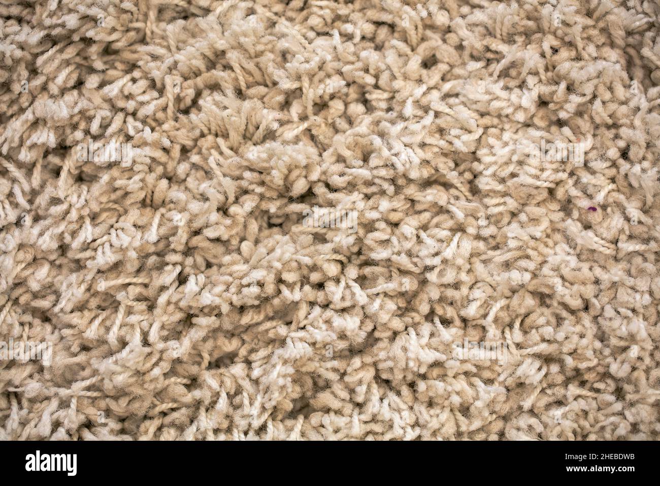 High pile carpet hi-res stock photography and images - Alamy