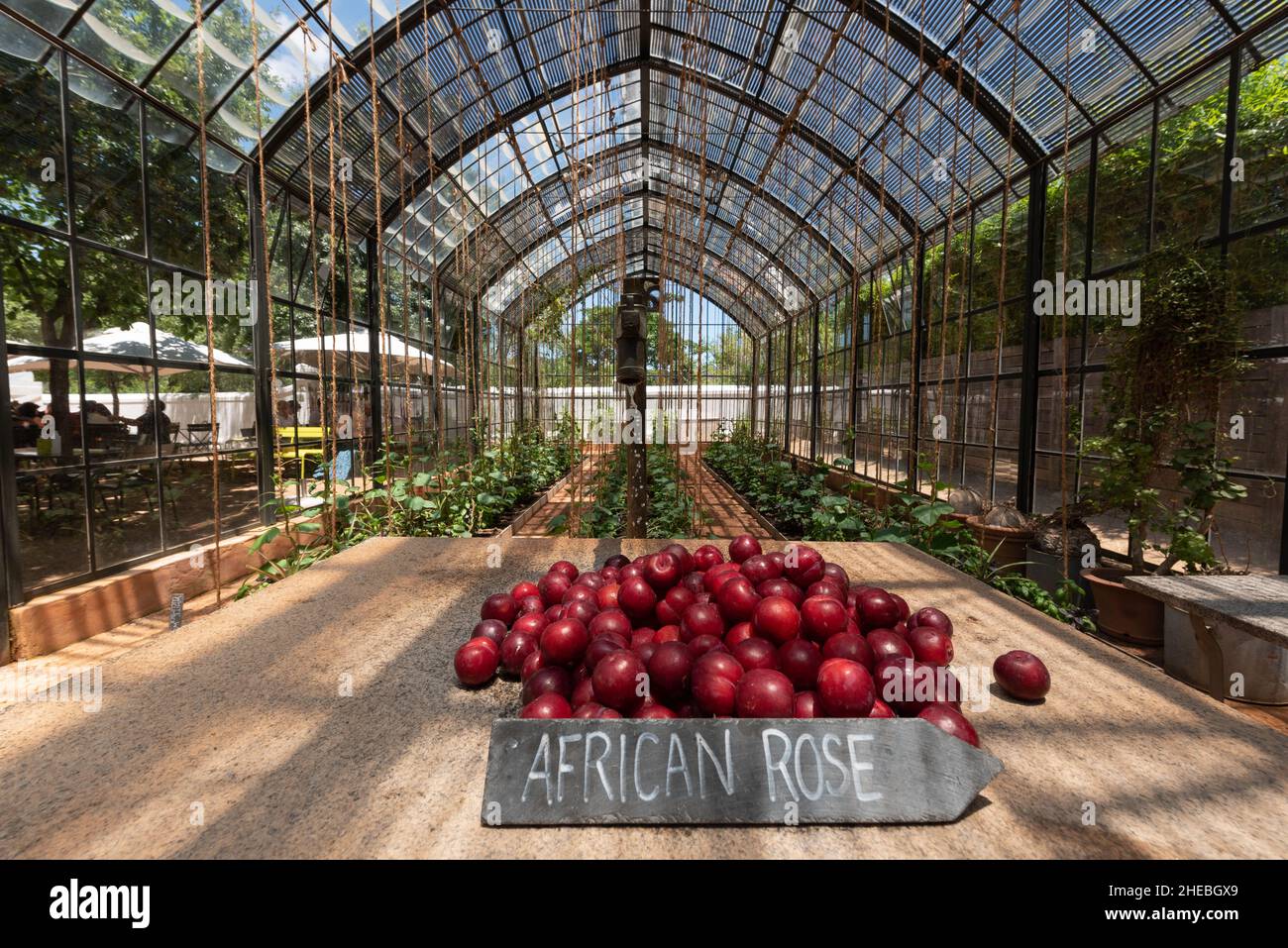 The Greenhouse Restaurant, Babylonstoren gardens, Franschhoek, Western