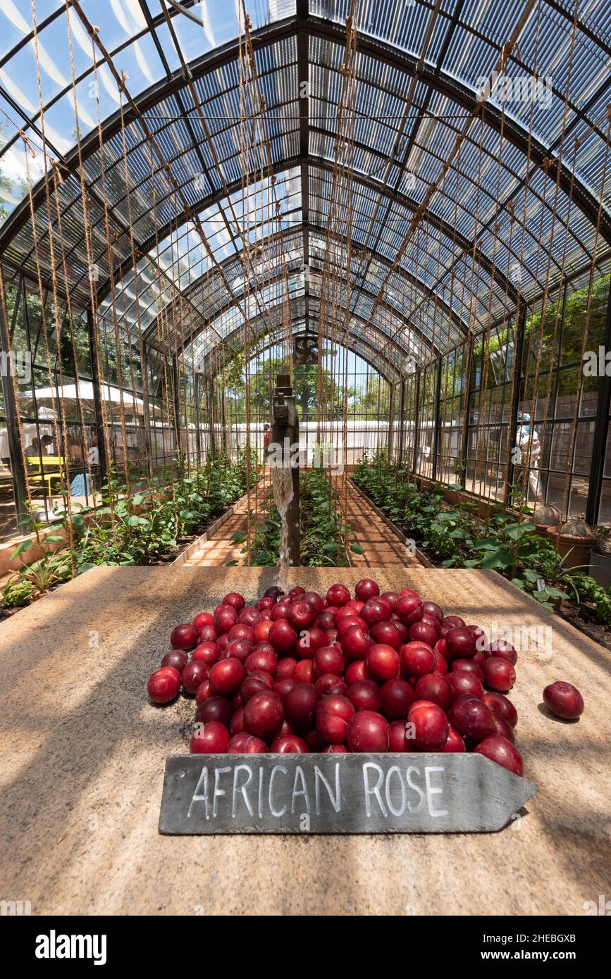 The Greenhouse Restaurant, Babylonstoren gardens, Franschhoek, Western