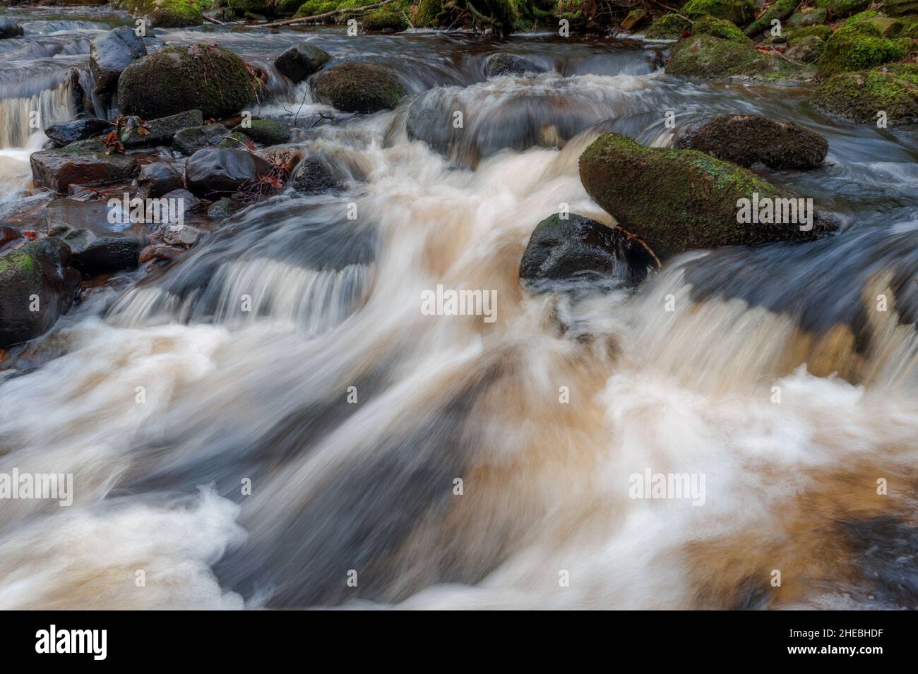 Foxdale Beck in Littledale in the Forest of Bowland, Lancashire Stock Photo