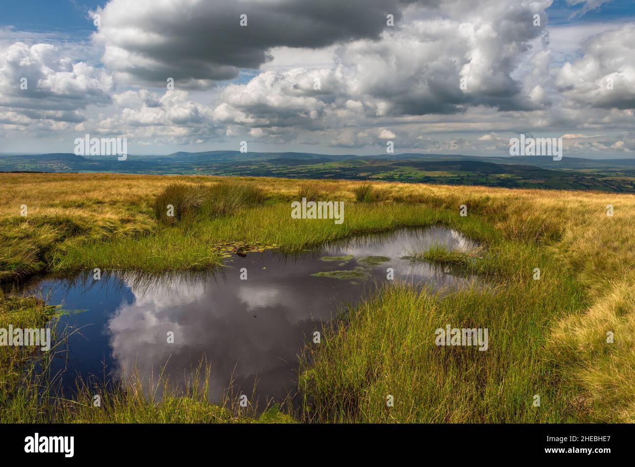 A small tarn on the summit of Pendle Hill in lancashire Stock Photo