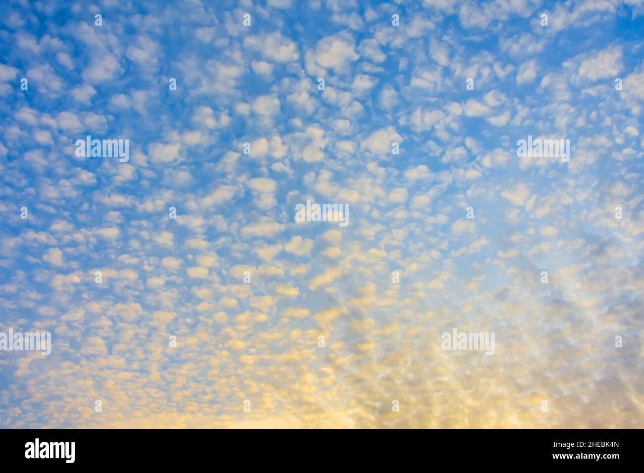 Altocumulus textured clouds in the sunset sky Stock Photo